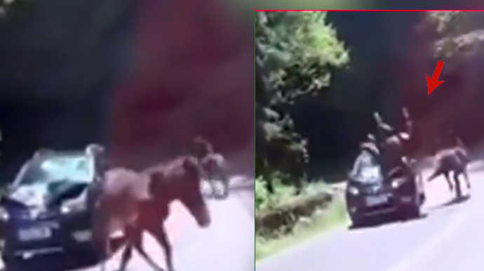 Xaçmazda avtomobil at sürən kişini vurub öldürdü 