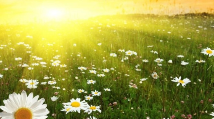 Sabah 35 dərəcə isti olacaq