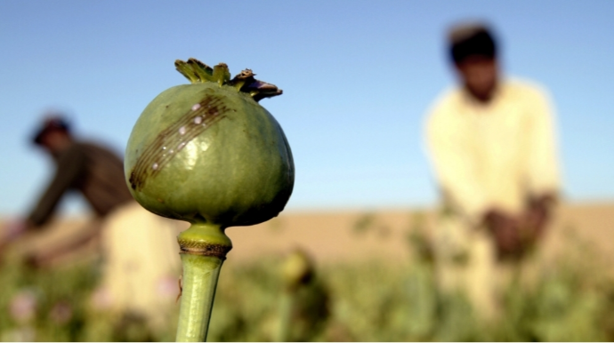 Qonşu ölkə Azərbaycana qarşı tiryək müharibəsi aparır - Deputat 