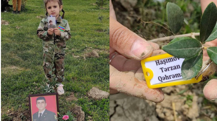 Şəhidimizin adına ağac əkildi   - FOTO