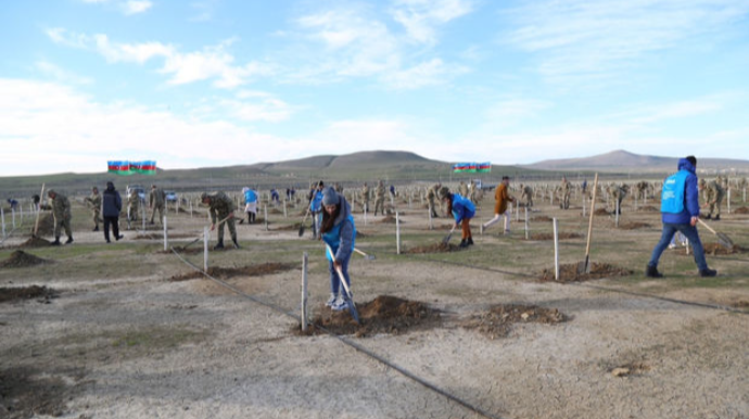 “Yaşıl Marafon” çərçivəsində hərbçilərin iştirakı ilə ağacəkmə aksiyası keçirilib - FOTO 