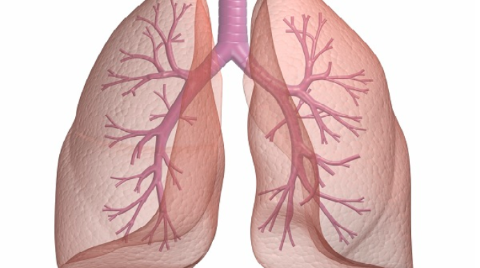 Koronaviruslu xəstələrin əksəriyyətində ağciyər xəsarət almır