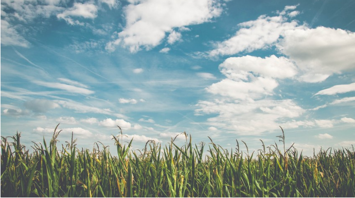 Yaxın üç gün ərzində gözlənilən hava şəraiti açıqlanıb