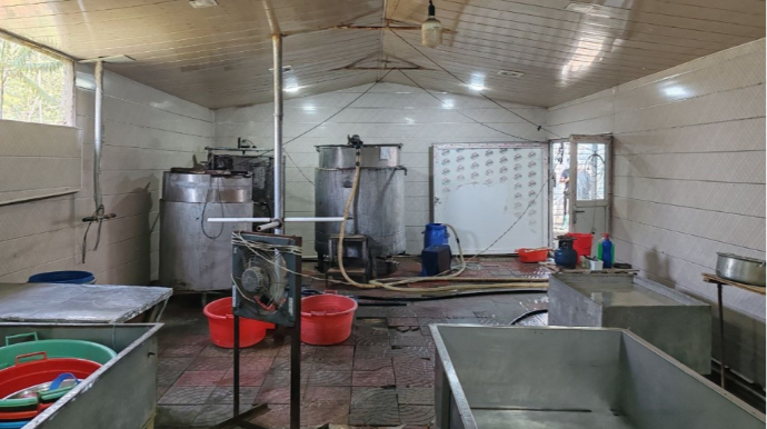 Bərdədə pendir sexində nöqsanlar aşkarlanıb - FOTO