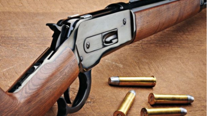 Astarada qardaş qardaşını ov tüfəngi ilə vurub 