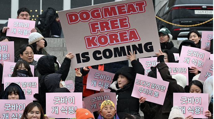 Parlament it ətini qadağan etdi 