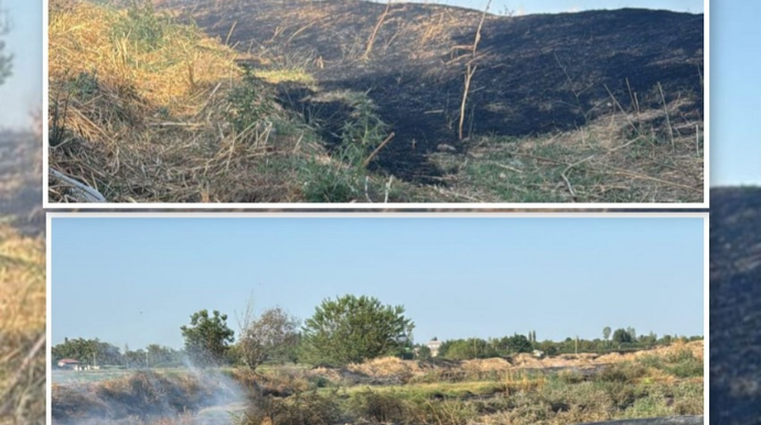 Ağdamda əkin sahəsində yanğın törətməkdə şübhəli bilinən şəxs saxlanılıb - FOTO