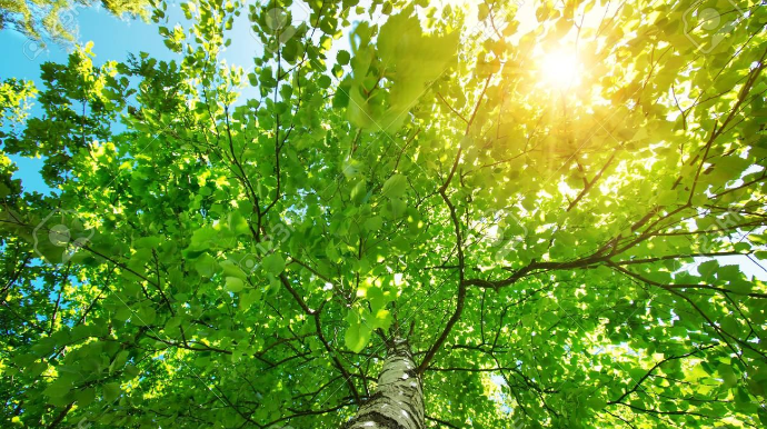 Sabah 34 dərəcəyədək isti olacaq 