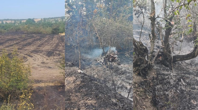 Qubada yanğın törədənlərdən biri həbs olunub, ikisi cərimələnib - FOTO