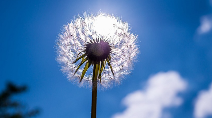 Sabahın hava proqnozu açıqlanıb 