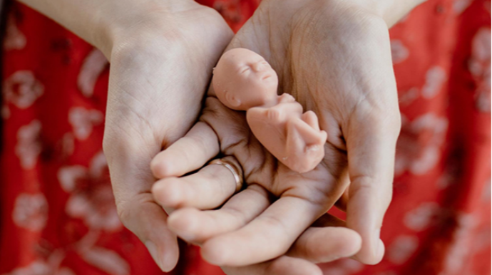 Sumqayıtda xəstəxana həyətindən döl tapıldı - YENİLƏNİB