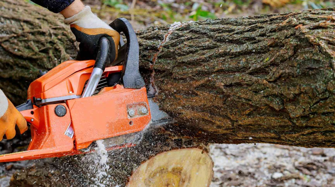 Təbiətə 207 minlik ziyan vuruldu - Cinayət işi başlanıldı 