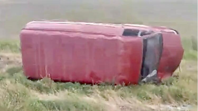 Sürücü yola çıxan eşşəyi vurmamaq üçün “Ford Transit”i aşırdı - VİDEO