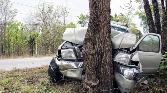 В Гахе автомобиль врезался в дерево, водитель погиб 