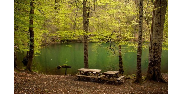 Milli parklara giriş dayandırıldı - RƏSMİ  