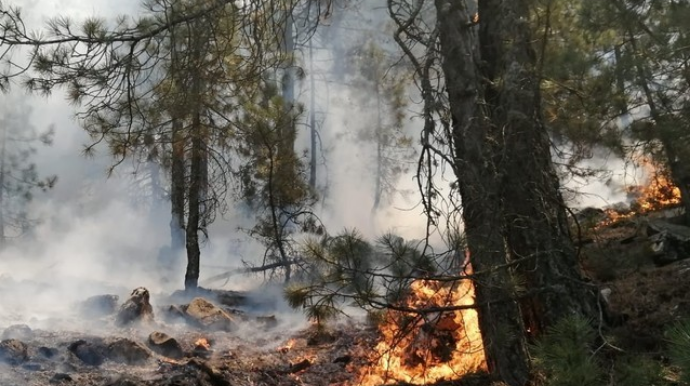 Qəbələdə dağlıq ərazidə yanğının söndürülməsinə helikopter cəlb olunub - YENİLƏNİB