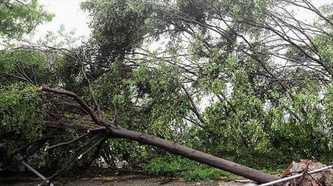Almaniyada güclü siklon tüğyan edir