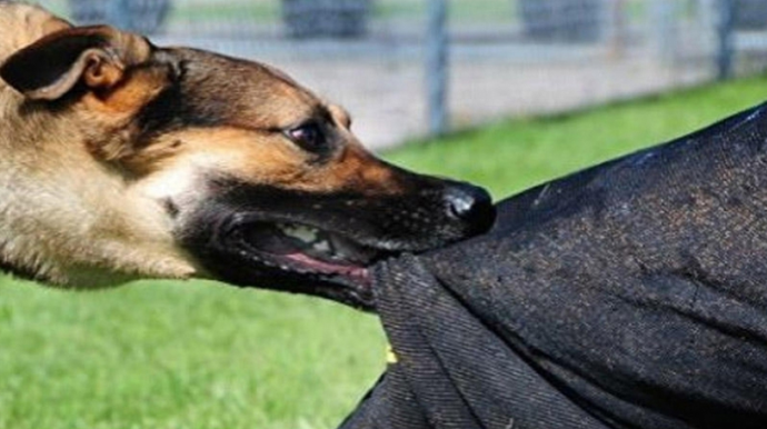 İtinə görə 800 manat cərimə olundu