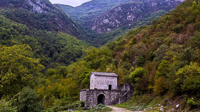 Zəngilan və Cəbrayılda meşə zolaqları salınacaq - RƏSMİ