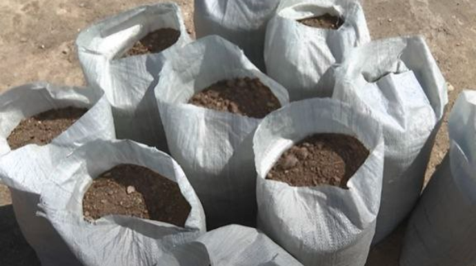 Bakıda yol kənarlarında kisələrdə satılan torpaqlar haradan gətirilir? - VİDEO