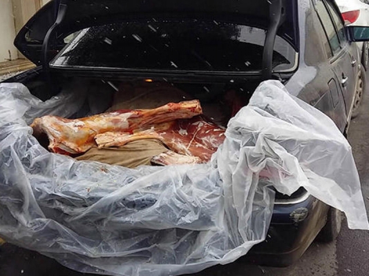 "Mersedes"dəki heyvan cəmdəklərində təhlükəli bakteriyalar AŞKARLANDI