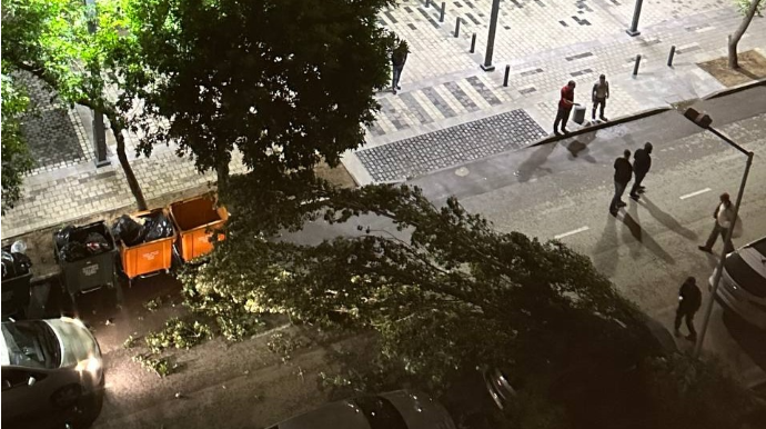 Bakıda güclü külək ağacı avtomobilin üzərinə aşırdı - FOTO - VİDEO 