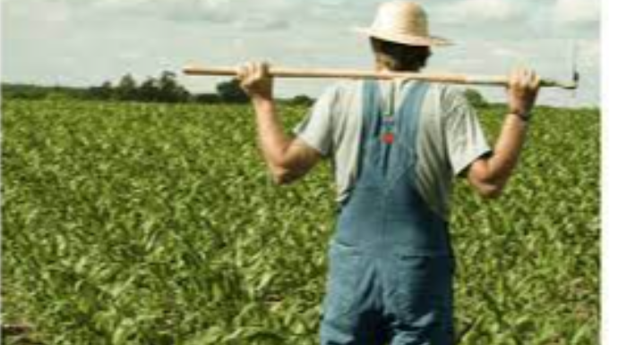 Kənd Təsərrüfatı Nazirliyinə yeni səlahiyyət verilib