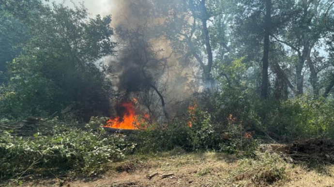 Şabranda baş verən yanğın söndürülüb - VİDEO 