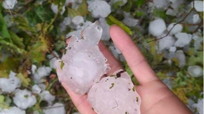 Zaqatalaya yağan dolu təsərrüfata ziyan vurdu