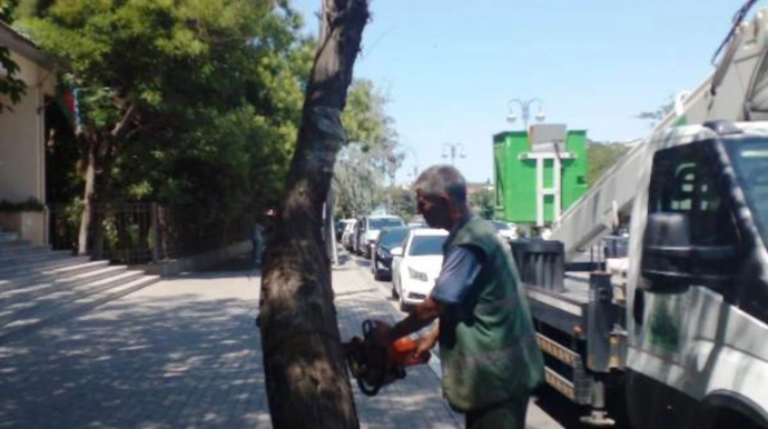 Bakının 12 rayonunda təhlükə: İcra hakimiyyəti hərəkətə keçdi - FOTO