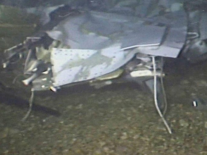 Salanın öldüyü təyyarə qəzasının səbəbi açıqlandı