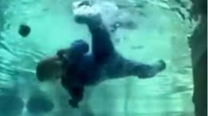 Cəlilabaddakı faciəli hadisənin TƏFƏRRÜATI:  Şəkil çəkdirmək istəyiblər ...