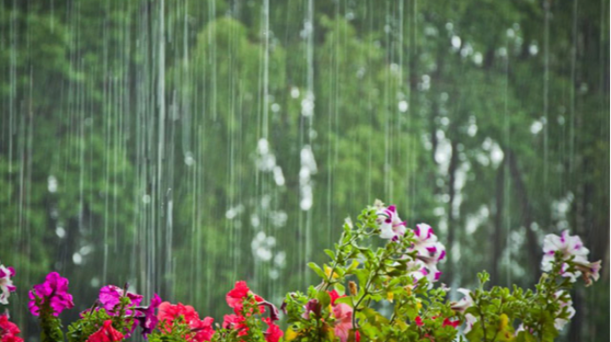 Yağış, dolu, qar... - Sabahın havası 