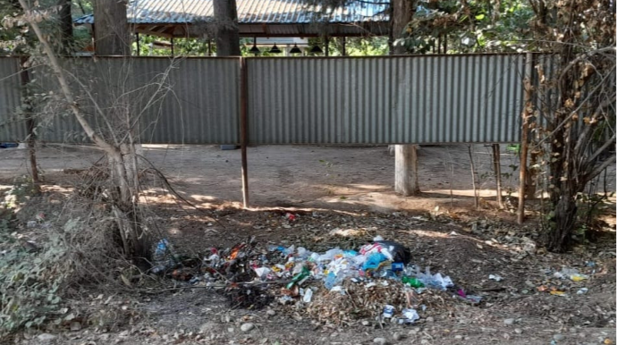 Masallıda ətraf mühiti zibilləyənlər cəzalandırıldı  - FOTO