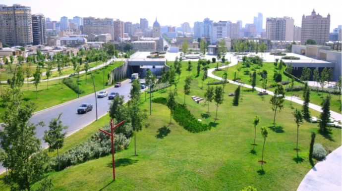 Azərbaycanda “uçan pələnglər” yayıla bilər – Əhali narahatdır 