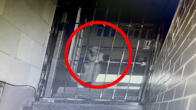 Bakıda "Milliön”dən 12 min manat oğurlanıb  - FOTO - VİDEO