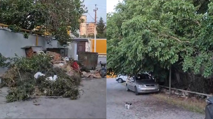 Bu küçədə nə zibil yığışdırılır, nə də ağaclar budanır - ŞİKAYƏT – VİDEO 