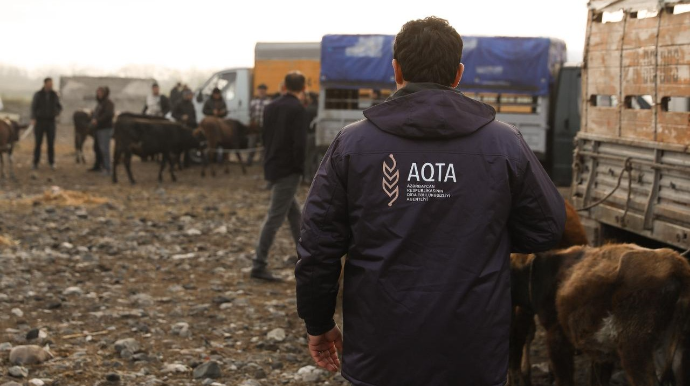 Heyvan bazarında monitorinq aparılıb - Nöqsanlar aşkarlandı - FOTO