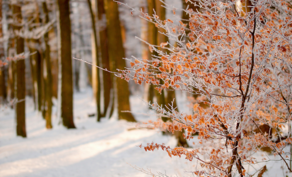 Fevral ayına olan hava proqnozu AÇIQLANDI