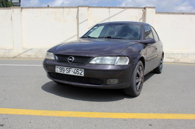 Qubada silsilə oğurluqlar edən Lerik sakinləri saxlanılıb - FOTO