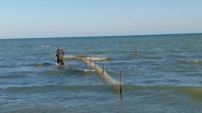 Qanunsuz balıq ovlayan şəxs cəzalandırıldı 