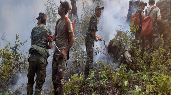 Yardımlıda meşə zolağında yanğının söndürülməsi əməliyyatları davam edir - VİDEO/FOTO 