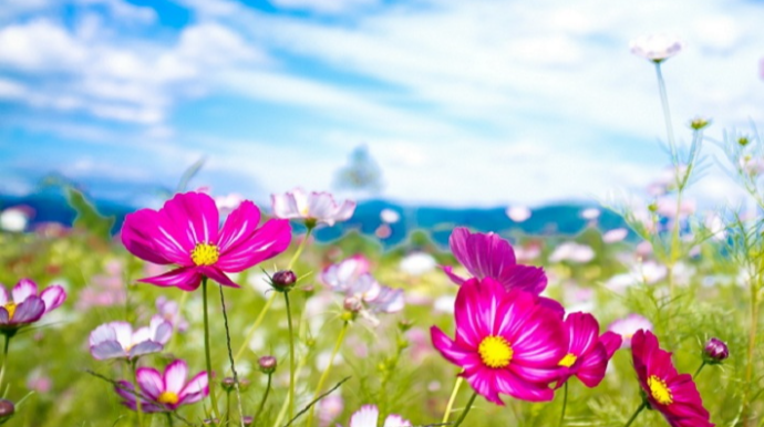 Sabahın hava proqnozu açıqlanıb