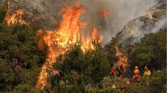 Cəlilabadda ovçuluq təsərrüfatı ərazisində yanğın başladı   - YENİLƏNİB