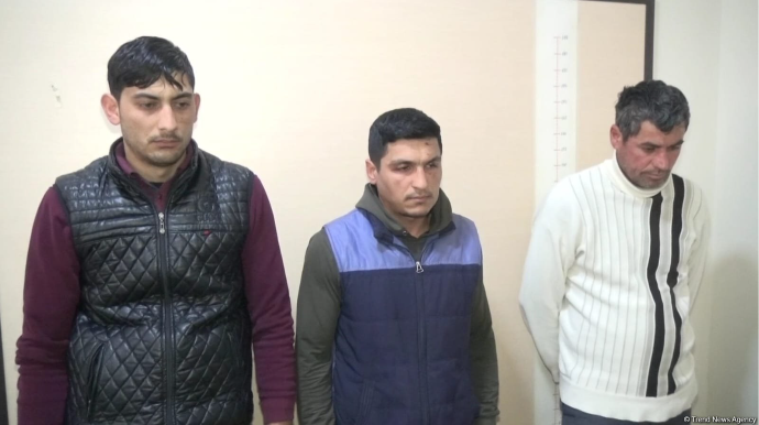 Bərdədə mal-qara oğurlayan dəstə ələ keçdi   - FOTO