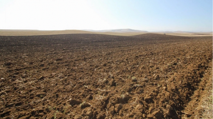 Dövlət Xidməti torpaq hərracları keçirəcək