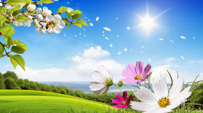 Sabahın hava proqnozu açıqlanıb