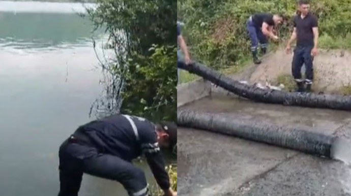 Nohur gölündə suyun səviyyəsi təhlükəli həddə çatdı - VİDEO 