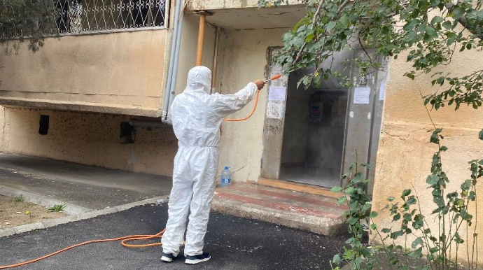 Bakıda Ağ Amerika kəpənəklərinə qarşı profilaktika işləri davam edir - FOTOLAR 