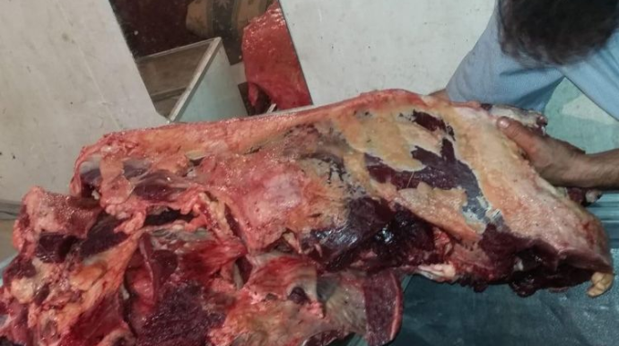 Bakıda 150 kiloqram yararsız at əti aşkarlanıb - VİDEO 